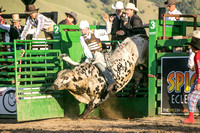 1st bulls darby 6-2-17-2895