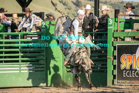 1st bulls darby 6-2-17-2897