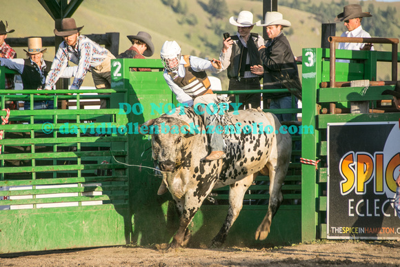 1st bulls darby 6-2-17-2896