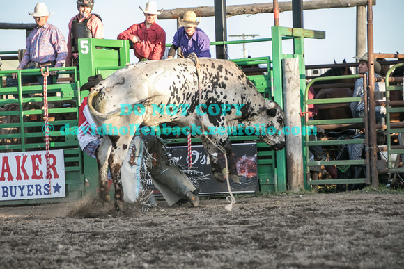 1st bulls darby 6-2-17-2912