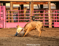 2018 DL NRA Steer Wrestling-9693