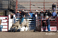 Dillon HS-JH Rodeo Bulls 9-21-24