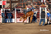 Dillon HS-JH Rodeo JH Bareback Steer 9-22-24