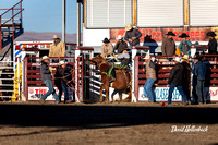 Dillon HS-JH Rodeo Saddle Bronc 9-21-24