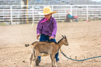 SWYRA Dillon Goats 5-27-17
