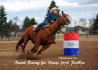 2018 Barrel Racing for Brains