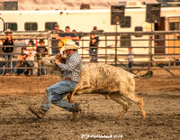 2018 DL NRA Steer Wrestling-9689