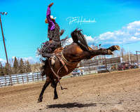 HS Saddle Bronc DLHS  5-11-19