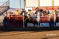 Dillon HS-JH Rodeo Bareback 9-22-24