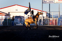 Dillon HS-JH Rodeo Grand Entry 9-22-24