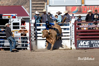 Dillon HS-JH Rodeo Bulls 9-22-24