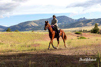 Sleeping Giant Endurance Ride 6-16-24