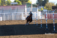 Dillon HS-JH Rodeo Poles 9-22-24