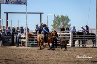 Dillon HS-JH Rodeo JH Tie Down 9-22-24