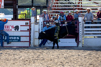 JHRF2313