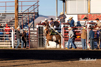 Dillon HS-JH Rodeo Saddle Bronc 9-22-24