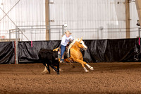 25 MHSRA Cowhorse