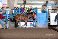 Saddle Bronc Perf 2 6-7-24